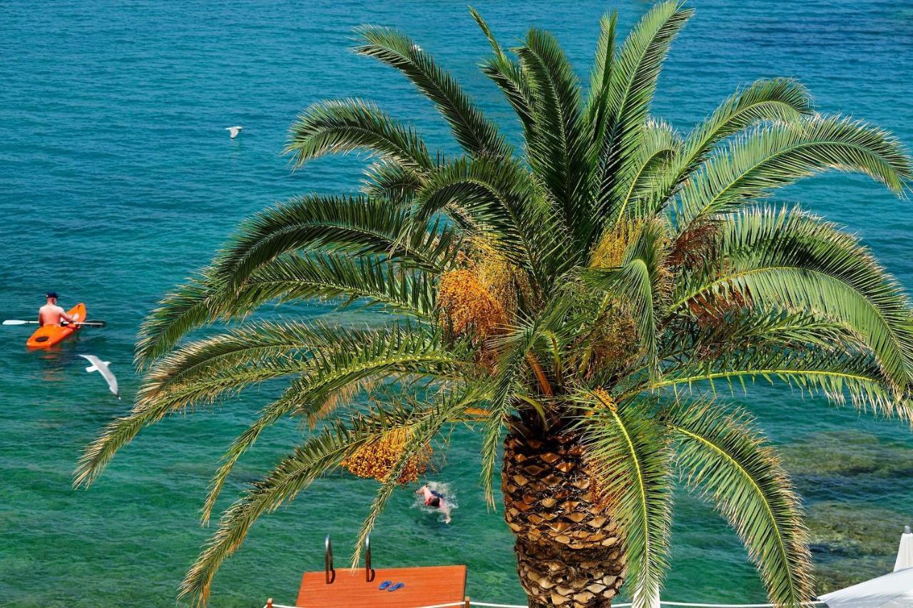 Le Calette N.5 Hotel Cefalù Eksteriør billede